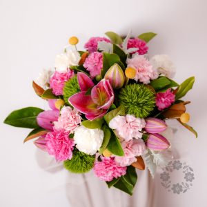 Carnation (Box)
