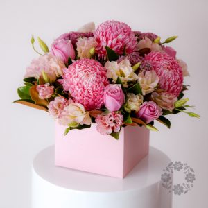 Beautiful Pastel (Box)