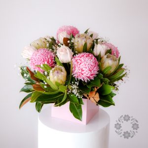 Native Mum (Box)