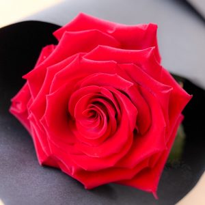 Simply Love
